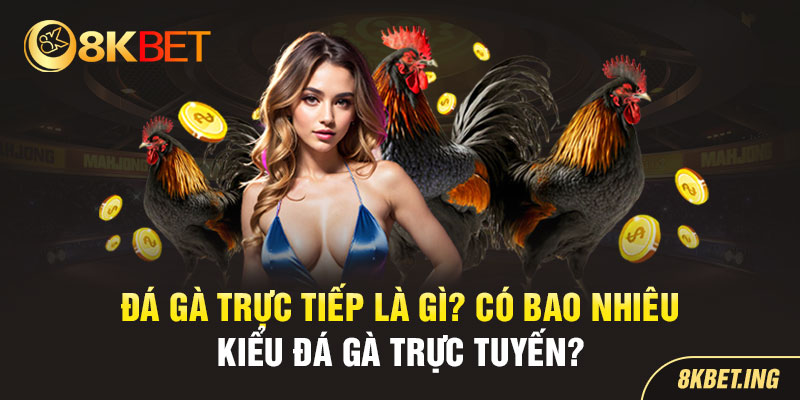 Đá Gà Trực Tiếp 8KBET Là Gì? Loại Hình Đá Gà Hot Nhất 2024