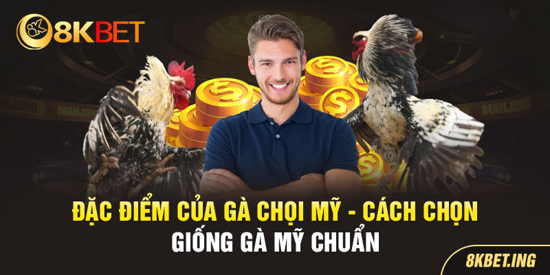 Bật Mí Cách Chọn Giống Gà Chọi Mỹ Chuẩn Nhất Tại 8KBET