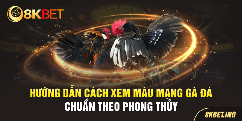 8KBET Hướng Dẫn Xem Màu Mạng Gà Đá Chuẩn Phong Thủy